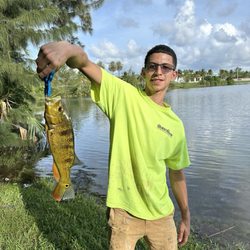 Bird Rd Bait and Tackle Shop