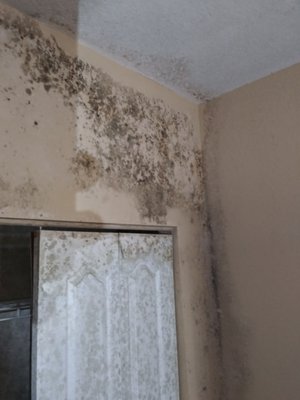 Edwards Property Remediation