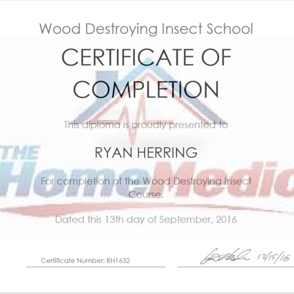 Paragon Home Inspections - Wood Destroying Insect School - Home Inspectors Near Me - Orem, Utah Paragon Home Inspections - Wood Destroying Insect School - Home Inspectors Near Me - Orem, Utah