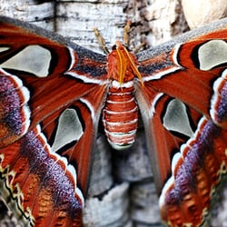 Botanischer Garten Leipzig