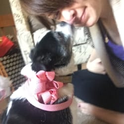 McKee's Feed Garden & Pet Centers - Dreaded nose-lick.