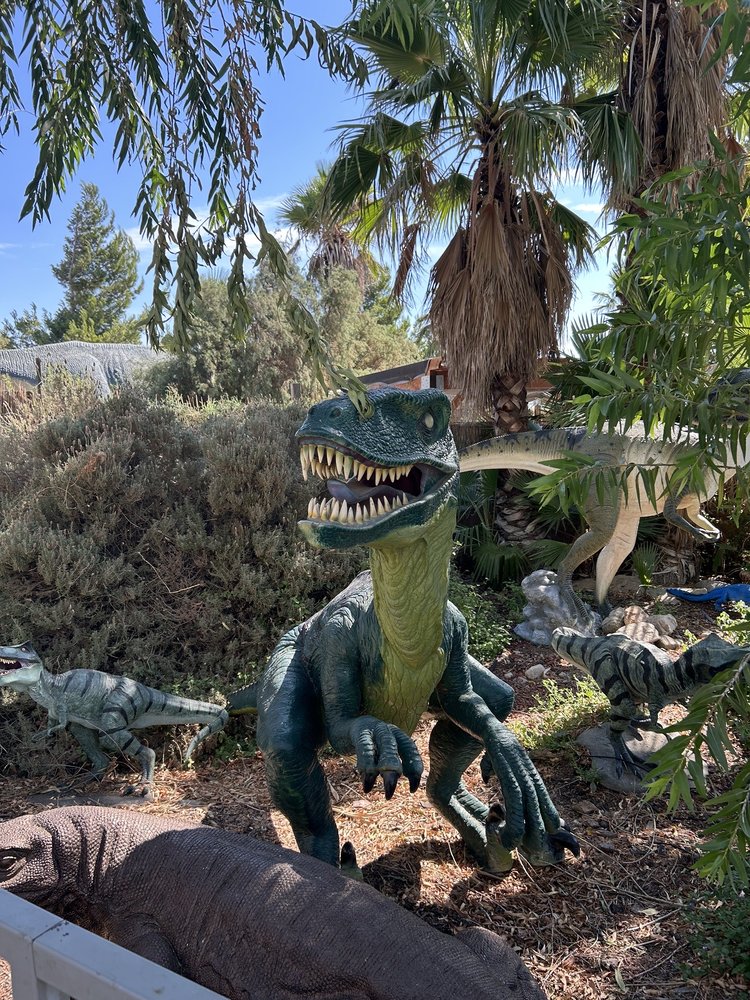 Mr. Rex’s Dinosaur Adventure Logo