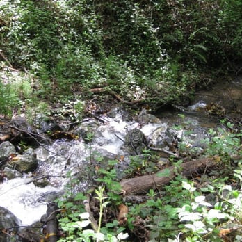 Samuel P Taylor State Park - babbling creek - Parks Near Me - Lagunitas, California Samuel P Taylor State Park - babbling creek - Parks Near Me - Lagunitas, California