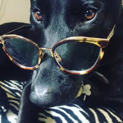 same day glasses san diego