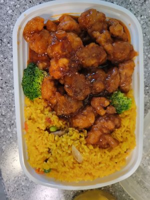 Gator China by null