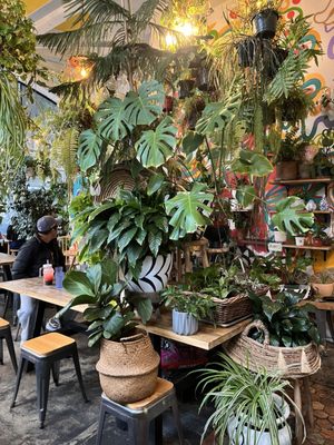 Yuko Kitchen DTLA by null