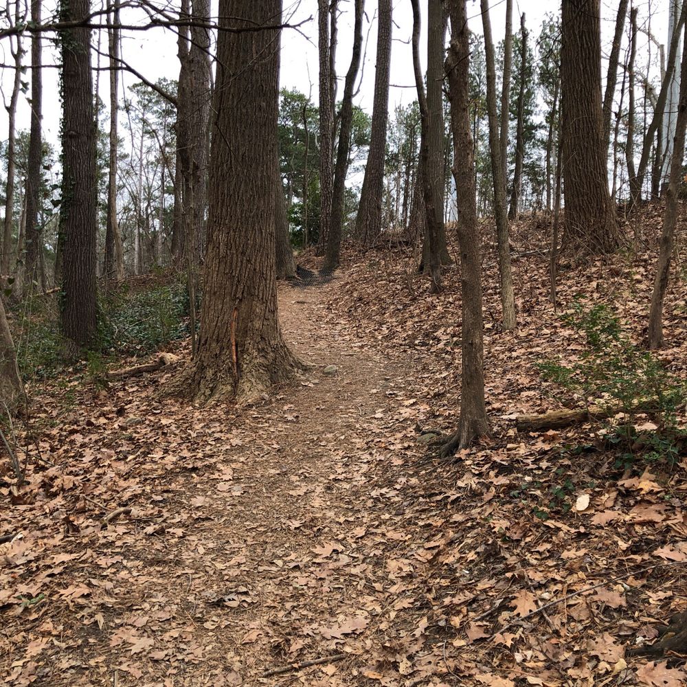 Morningside Nature Preserve - Parks Near Me - Atlanta, Georgia Morningside Nature Preserve - Parks Near Me - Atlanta, Georgia