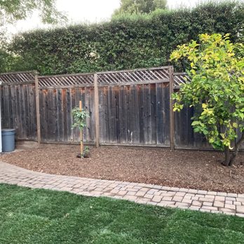 Modica Landscaping - a backyard with a fence and a tree - Landscaping Near Me - Redwood City, California Modica Landscaping - a backyard with a fence and a tree - Landscaping Near Me - Redwood City, California