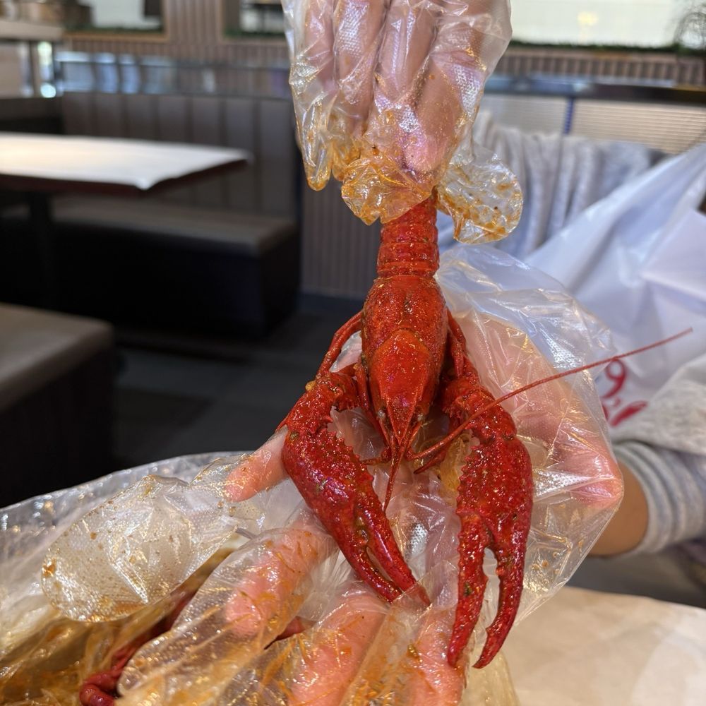 Ocean 9 Crab - Seafood Near Me - Milpitas, California