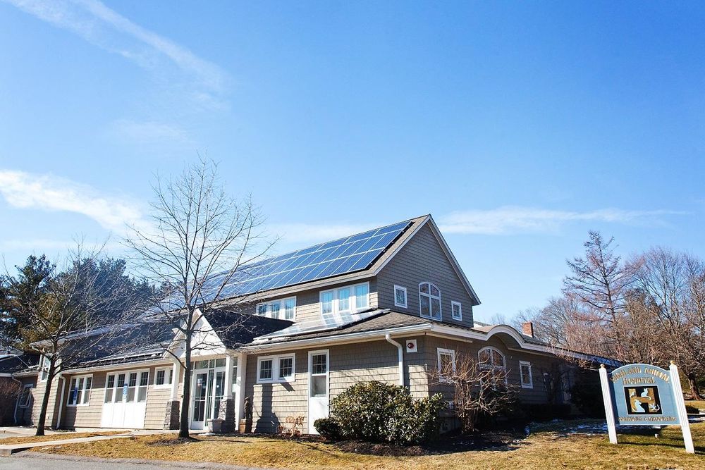 Highland Animal Hospital - pet boarding facility in Needham Heights, MA