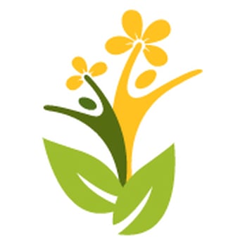 Bellefleur Physiotherapy - Physical Therapy Near Me - Orléans, Ontario