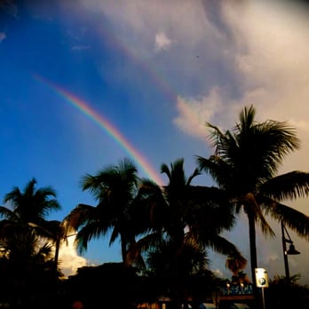 Harpoon Harry's - I spotted this rainbow while eating breakfast at Harpoon Harry's - Breakfast & Brunch Near Me - Key West, Florida Harpoon Harry's - I spotted this rainbow while eating breakfast at Harpoon Harry's - Breakfast & Brunch Near Me - Key West, Florida