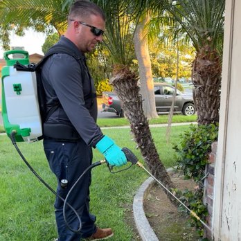 Dailey Pest Management - Pest Control Near Me Dailey Pest Management - Pest Control Near Me