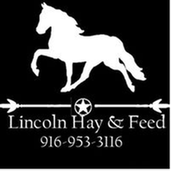 Lincoln Hay and Feed - Untitled