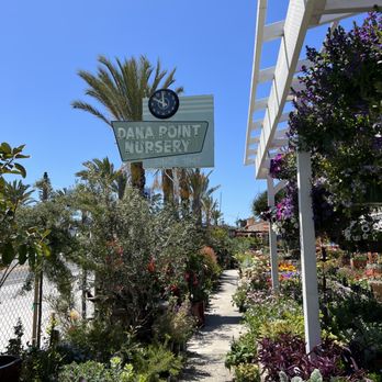 Dana Point Nursery - Outside - Nurseries & Gardening Near Me - Dana Point, California Dana Point Nursery - Outside - Nurseries & Gardening Near Me - Dana Point, California