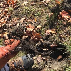 The Rooter Works Plumbing and Drains