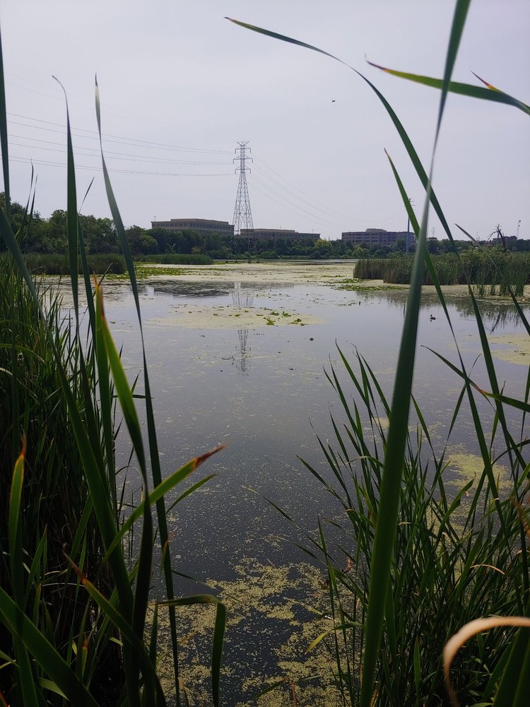 LAKE SMETANA Updated October 2024 33 Photos 7700 Smetana Ln, Eden