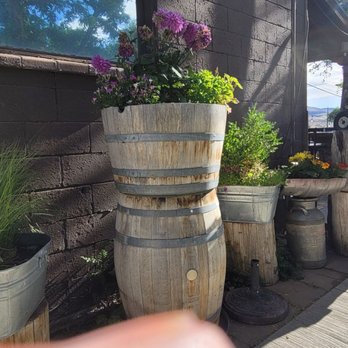 Chop 40 - Beautiful plants to add a pleasant dining experience - New American Near Me - Verdi, Nevada