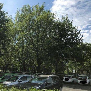 Parkplatz Zoo - Parking Near Me - Dresden, SN