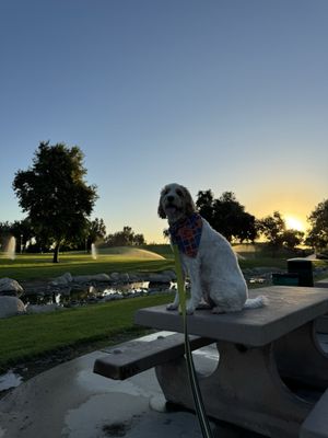 The Park at River Walk by null
