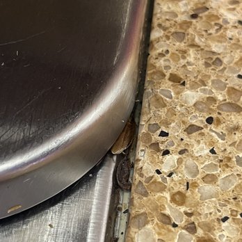 Dunkin' -  a close up view of a sink - Donuts Near Me - Homosassa, Florida