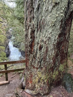 Twin Falls Trailhead by null