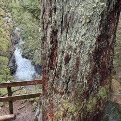 Twin Falls Trailhead