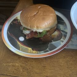 Wendy's - This is the Asiago Ranch Classic Chicken Club