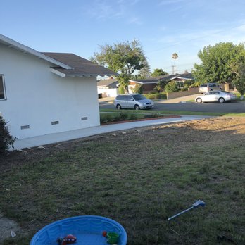 Roldolfo's Tree Services - Bush removed - Tree Services Near Me