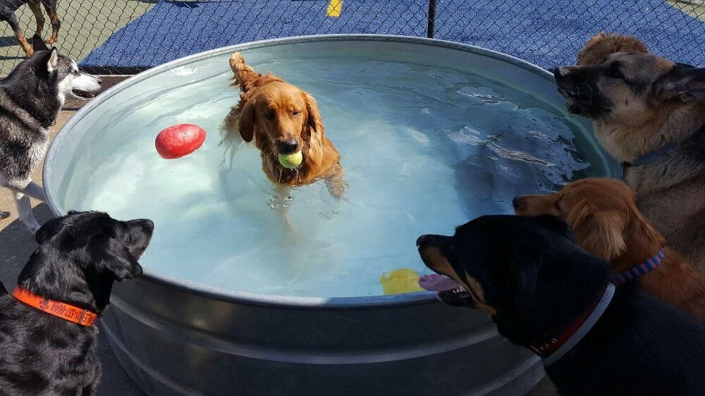 o Jupiter Florida Real Estate For Sale