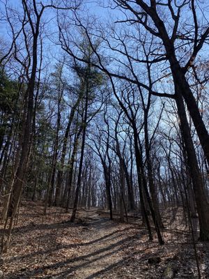 Bird Hills Nature Area by null