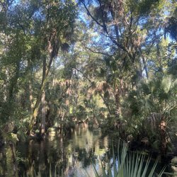 Morris Bridge Road Preserve - Serenity
