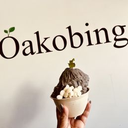 Black Sesame Shaved Ice