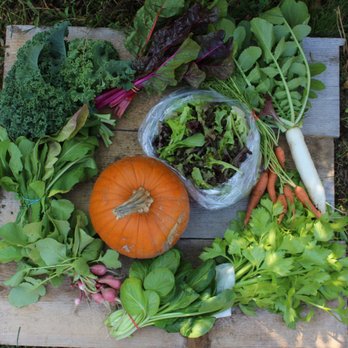 Mapleville Farm - a variety of vegetables laid out on a pallet - Bakeries Near Me - Mapleville, Rhode Island