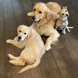 Animal Care Clinic