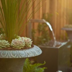 Modern Landscaping