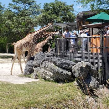 Zoo Miami - Zoos Near Me - Miami, Florida Zoo Miami - Zoos Near Me - Miami, Florida