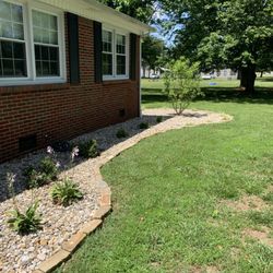 Unique Designs Nursery & Landscaping - This side of the yard seems to be doing okay after I trimmed all the dead off