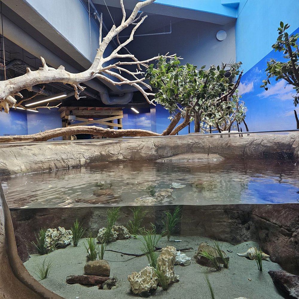 Texas State Aquarium - Aquariums Near Me - Corpus Christi, Texas Texas State Aquarium - Aquariums Near Me - Corpus Christi, Texas