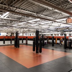 Team Impact - Gym Floor