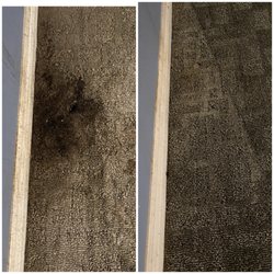 AAA Steam Carpet Cleaning - I had a roommate for 5 years, when he moved out he left the coffee stains. GREAT JOB DONE BY AAA