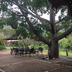 La Ceiba de Amatlán - La terraza y àrbol de Ceiba