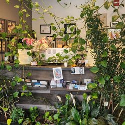 Soco Reflexology - Reception