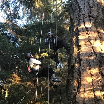 AdventureTerra - Rock Climbing Near Me