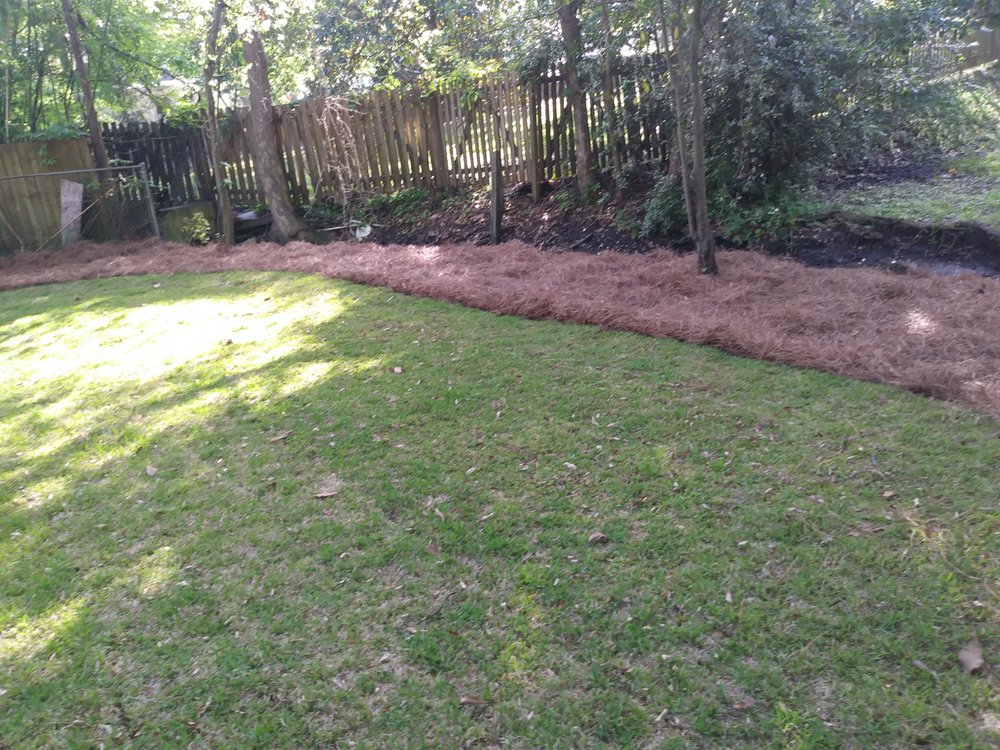 TLC LAWNCARE AND LANDSCAPING Updated July 2024 25 Photos Summerville, South Carolina