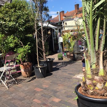 Kitchen Garden Cafe - British Near Me - Birmingham, XWM