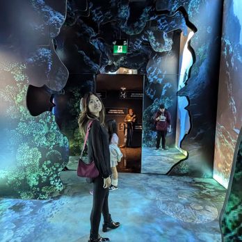 Arcadia Earth - Room - Art Museums Near Me - Toronto, Ontario Arcadia Earth - Room - Art Museums Near Me - Toronto, Ontario