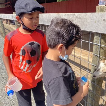 Nova Wild - Petting Zoos Near Me - Vienna, Virginia