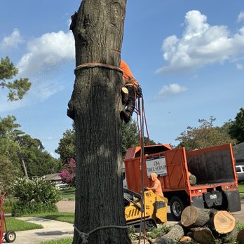 OM Tree Service - Tree Services Near Me - Houston, Texas OM Tree Service - Tree Services Near Me - Houston, Texas