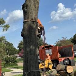 OM Tree Service